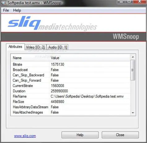 Key Features of Sliq WMSnoop