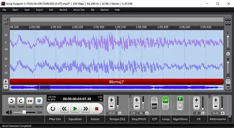 Key Features of Song Surgeon