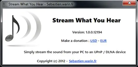 Key Features of Stream What You Hear