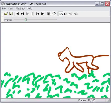 Key Features of SWF Opener