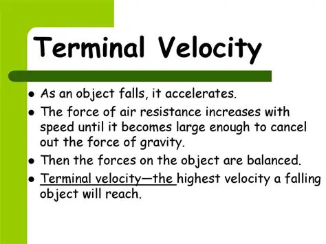Key Features of Terminal Velocity Live