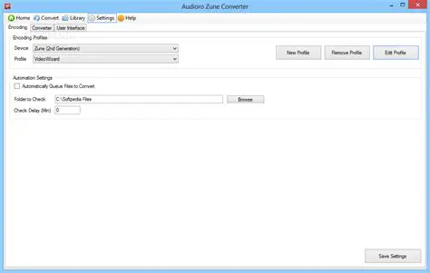Key Features of the Audioro Wii Converter