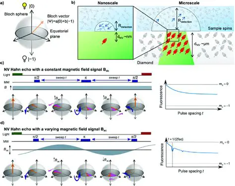 Key Features of the Bloch Sphere Simulation