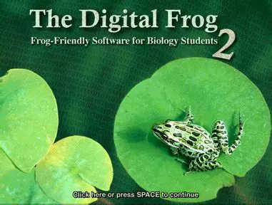 Key Features of The Digital Frog