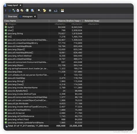 Key Features of the Eclipse Memory Analyzer