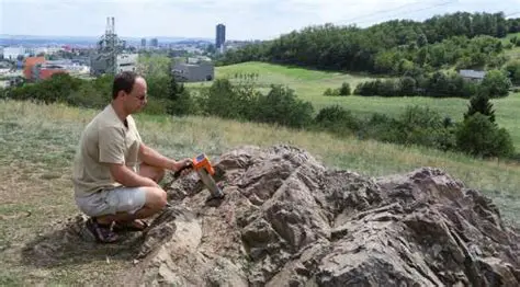 Key Features of the GAMMA Surveyor