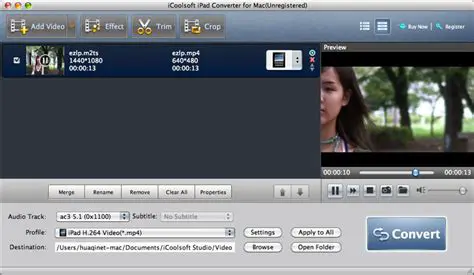 Key Features of the iCoolsoft iPad Video Converter