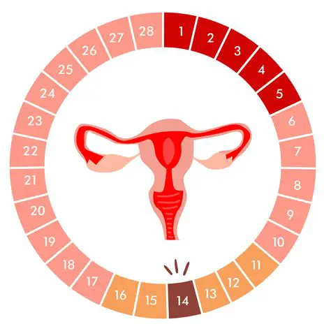 Key Features of the Ovulation Calendar Calculator