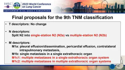 Key Features of the TNM DSO