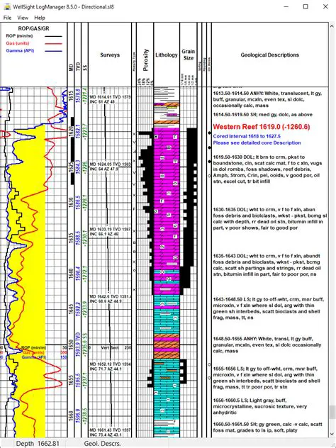 Key Features of the WellSight Log Manager
