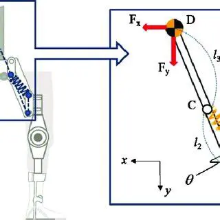 Key Features of the WSM Terminal