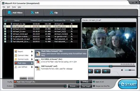 Key Features of TingleSoft FLV Converter