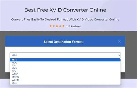 Key Features of Vast XviD Converter