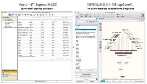 Key Features of Vector NTI Express Designer
