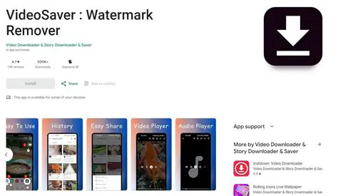 Key Features of VideoSaver