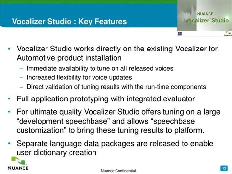 Key Features of Vocalizer Mikko
