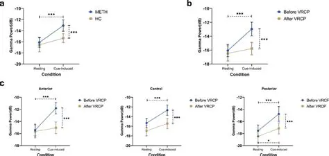 Key Features of VRCP IPAMon