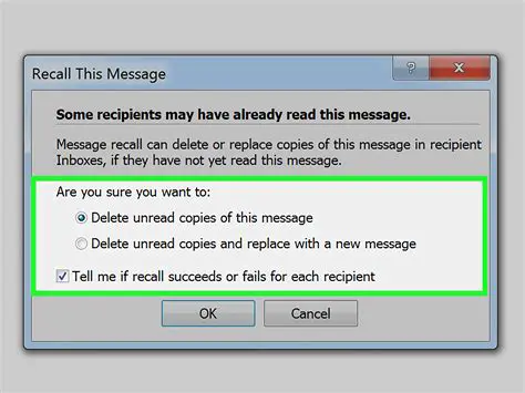 Key Features of WinDeveloper Message Recall