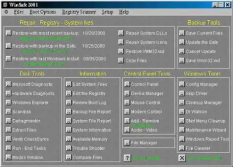 Key Features of WinSafe 2001