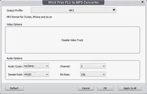 Key Features of WinX Free FLV to iPod Converter