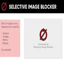Key Features of Wizmage Image Blocker