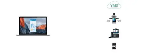 Key Features of Yealink VC Desktop