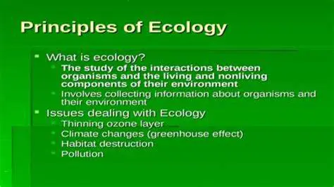 Key Principles of the Ecological Approach