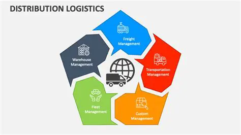 Key Responsibilities of Distribution and Logistics