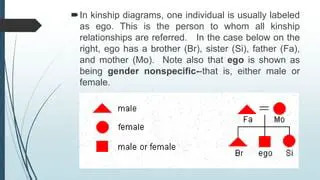 Kinship Relationships Based Primarily on Nurturance