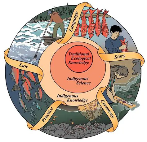 Knowledge of the environment