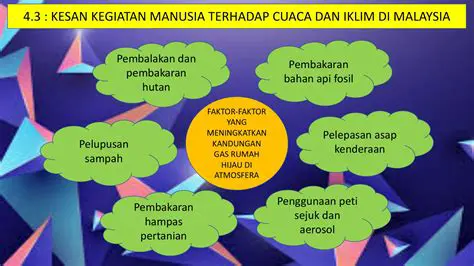 Kondisi Cuaca yang Konsisten