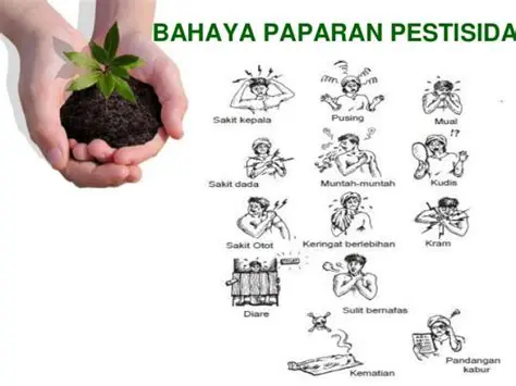 Kurangnya Penggunaan Pestisida