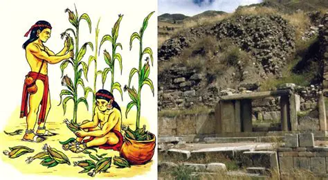 La agricultura en el periodo formativo