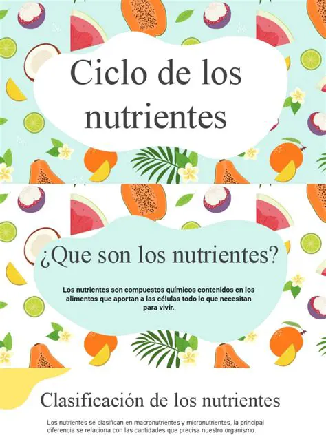 La Ciclo de los Nutrientes