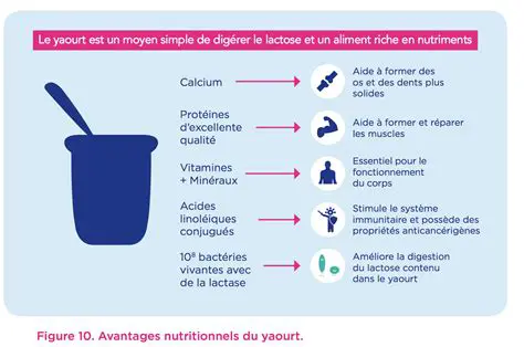 La Composition du Yaourt de Mongolie