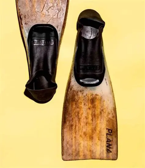 La Historia de las Aletas Gafas y Flotadores