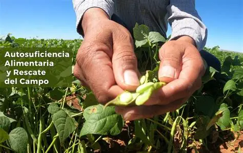 La Importancia de la Sedentariedad y la Autosuficiencia