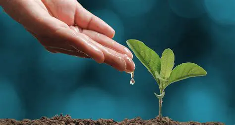 La importancia del agua en las plantas