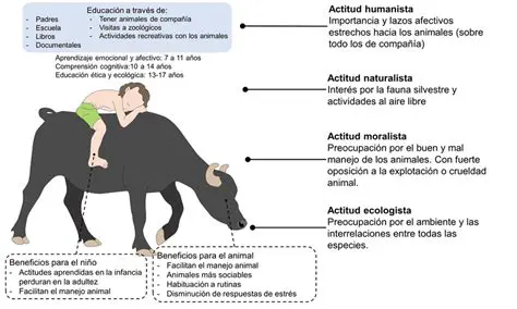 La Influencia de los Animales en la Cultura y la Sociedad