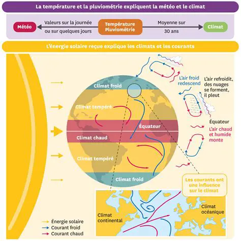 La Météo: Comprendre les Phénomènes Atmosphériques et Leur Impact Global