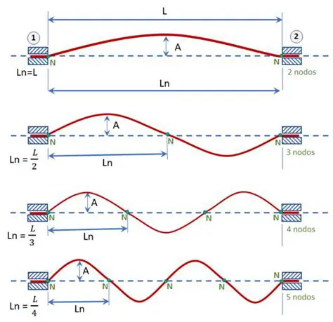 La Onda Transversal en la Cuerda