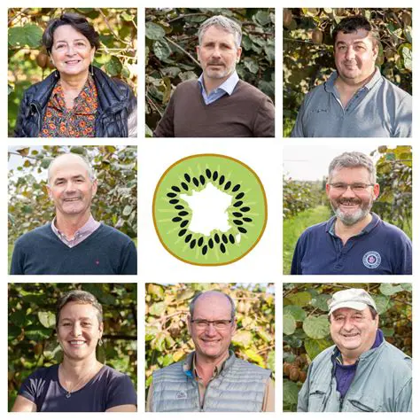 La production de kiwi en France