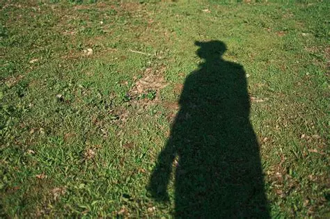 La sombra en la naturaleza