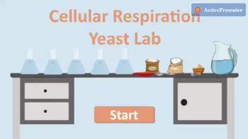 Laboratory Simulation of Cellular Respiration and Yeast Fermentation