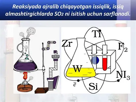 Lakmusning Sulfat va Nitrat Kislotalariga Muhim Reaksiyasi
