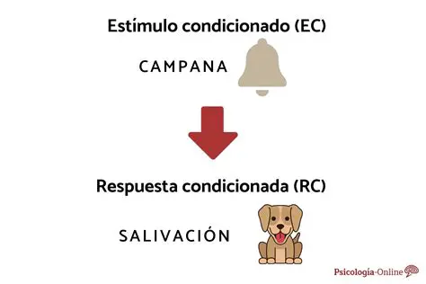 Las salidas de la respuesta condicional