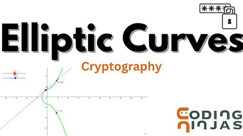 Learn the basics of elliptic curves