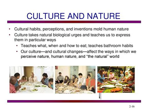 Learning New Cultural Habits