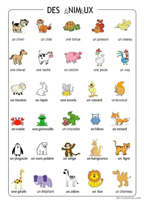 Les Paires de Mots pour les Animaux