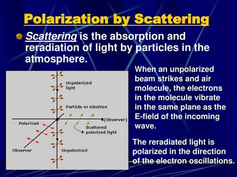 Light Scattering and Absorption